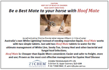 Load image into Gallery viewer, The Hoof Co. - Hoof Mate - pack of 30 soaking tablets