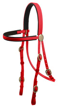 Load image into Gallery viewer, Brass Buckle Bridle