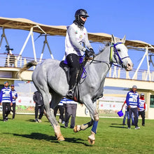 Load image into Gallery viewer, Alfa Enduro Trousers