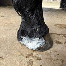 Load image into Gallery viewer, The Hoof Co. - Boo Hoo Balm Wound Balm