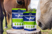 Load image into Gallery viewer, Poseidon Animal Health MetaboLize