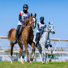Load image into Gallery viewer, Alfa Enduro Trousers