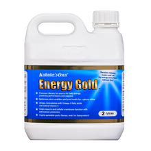 Load image into Gallery viewer, Kohnke's Own Energy Gold