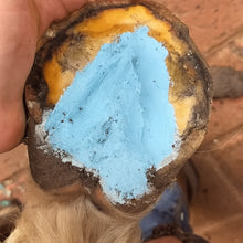 Load image into Gallery viewer, The Hoof Co. - Hoof Paste Blue Hoof Care Paste