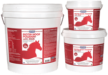Load image into Gallery viewer, Vetsense Biotin Hoof Powder+ MSM