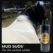 Load image into Gallery viewer, The Hoof Co. - Mud Suds Clarifying Charcoal Horse Shampoo