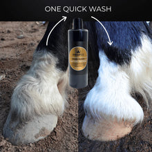Load image into Gallery viewer, The Hoof Co. - Mud Suds Clarifying Charcoal Horse Shampoo