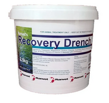 Load image into Gallery viewer, Ranvet Branch Chain Amino Acid Powder