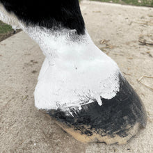 Load image into Gallery viewer, The Hoof Co. - Soxstar Whitening Powder for Horses