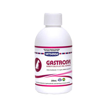 Load image into Gallery viewer, Vetsense Gastrosyl