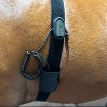 Load image into Gallery viewer, Horsepal Training Belt with Extension