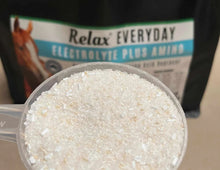 Load image into Gallery viewer, Relax Everyday Electrolyte + Amino