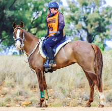 Load image into Gallery viewer, Alfa Equestrian Ladies Winter Endurance Tights - INK BLACK