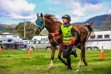 Load image into Gallery viewer, Alfa Equestrian Ladies Endurance Tights - INK BLACK