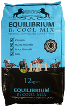 Load image into Gallery viewer, Equilibrium B1 Cool Mix