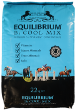 Load image into Gallery viewer, Equilibrium B1 Cool Mix