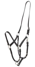 Load image into Gallery viewer, Zilco Deluxe Endurance Halter