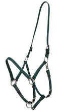 Load image into Gallery viewer, Zilco Deluxe Endurance Halter