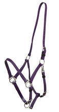 Load image into Gallery viewer, Zilco Deluxe Endurance Halter