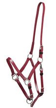 Load image into Gallery viewer, Zilco Deluxe Endurance Halter