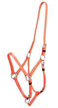 Load image into Gallery viewer, Zilco Deluxe Endurance Halter