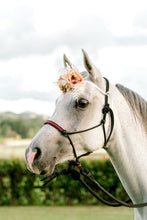 Load image into Gallery viewer, Insert Halter & Lead Set - Endurance "Trot Out" Set