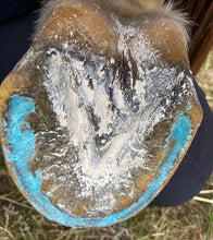 Load image into Gallery viewer, The Hoof Co. - Beeswax BLUE Balls