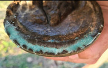 Load image into Gallery viewer, The Hoof Co. - Beeswax BLUE Balls