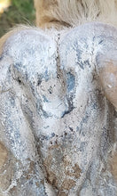 Load image into Gallery viewer, The Hoof Co. - Hoof Powder - Peppermint and Lemongrass