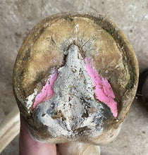 Load image into Gallery viewer, The Hoof Co. - Beeswax PINK Balls (Thrush Management)