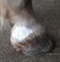 Load image into Gallery viewer, The Hoof Co. - Zinc Putty