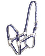 Load image into Gallery viewer, Zilco Striped Halter