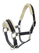 Load image into Gallery viewer, Zilco Dazzle Equestrian Halter