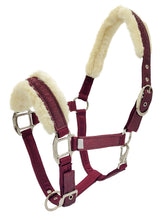 Load image into Gallery viewer, Zilco Dazzle Equestrian Halter