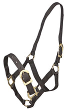 Load image into Gallery viewer, Zilco PP Halter