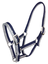Load image into Gallery viewer, Zilco Sparkle Foal Halter