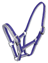 Load image into Gallery viewer, Zilco Sparkle Foal Halter