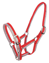 Load image into Gallery viewer, Zilco Sparkle Foal Halter
