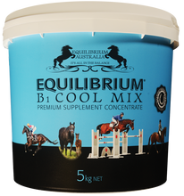 Load image into Gallery viewer, Equilibrium B1 Cool Mix
