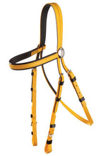 Load image into Gallery viewer, Race Bridle with Black Trim