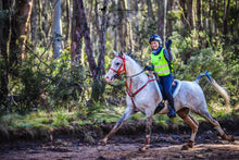 Load image into Gallery viewer, Alfa Equestrian Ladies Endurance Tights - INK BLACK