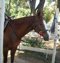 Load image into Gallery viewer, Safe T-Tie