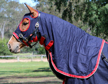 Load image into Gallery viewer, Zilco Stadium Wool Hood