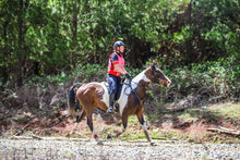 Load image into Gallery viewer, Alfa Equestrian Ladies Endurance Tights - INK BLACK