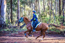 Load image into Gallery viewer, Alfa Equestrian Ladies Endurance Tights - INK BLACK