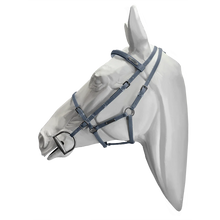 Load image into Gallery viewer, Setzi Competition Bridle and Halter Beta