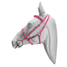Load image into Gallery viewer, Setzi Competition Bridle and Halter Beta