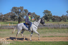 Load image into Gallery viewer, Alfa Equestrian Mens Endurance Tights