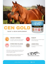 Load image into Gallery viewer, CEN Gold