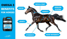 Load image into Gallery viewer, CEN Oil